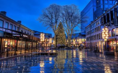 攻略 | 波士顿的初雪已至，圣诞树点亮活动还会远吗？