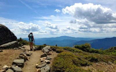 生活 | 清凉一夏，玩转白山国家森林公园