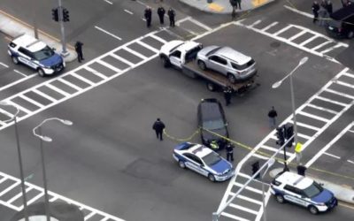 新闻 | 本周波屯新闻集锦