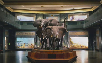 波屯周末推荐 | 纽约不得不去的几家博物馆！请接受这份逛博清单 带你了解美国的方方面面!