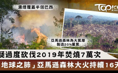 新闻 | 亚马逊大火？拯救地球？我们只需拯救自己
