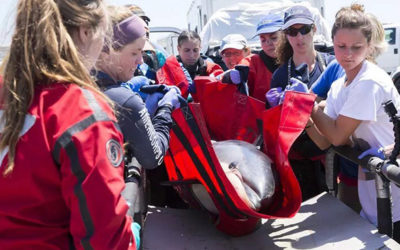 新闻 | 麻省上周都发生了什么事儿？