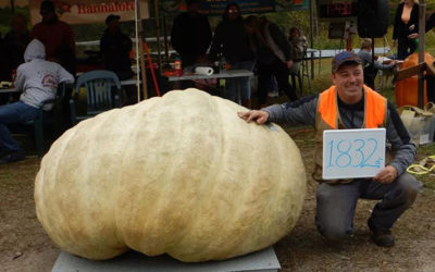 新闻 | 麻省附近上周都发生了什么事儿？