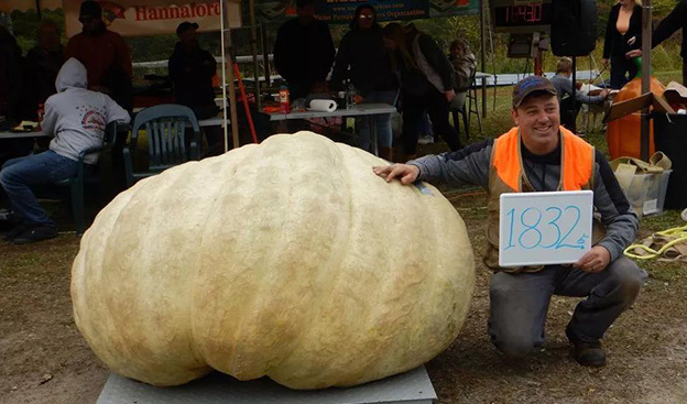 新闻 | 麻省附近上周都发生了什么事儿？