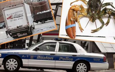 新闻 | 麻省附近这几天都发生了什么事儿？