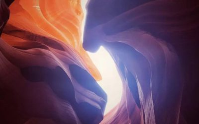 北美留学生寒假观察报告