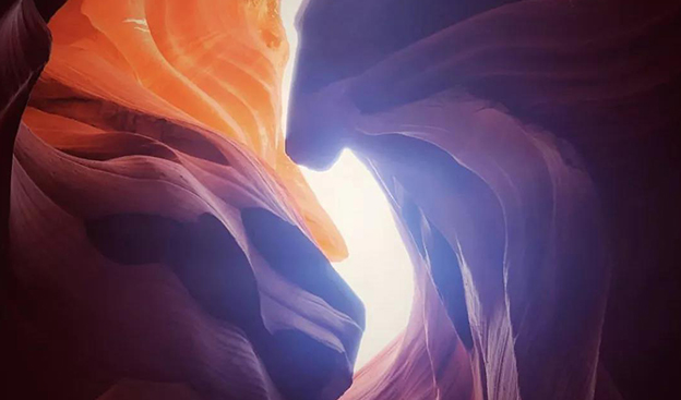 北美留学生寒假观察报告