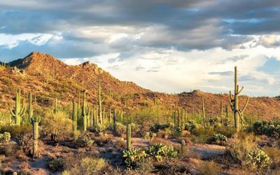 生活 | 逃离寒冷的波士顿（二）