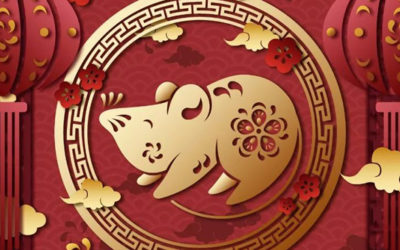 生活 | 准备好在波士顿过春节了吗？