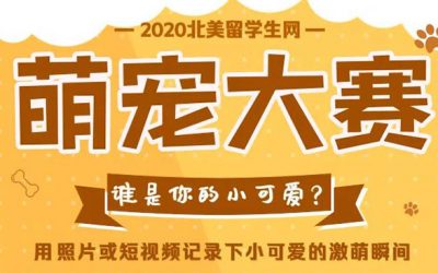 2020北美萌宠召集令 | 波士顿留学生网“你的小可爱”线上晒萌宠大赛开启啦！