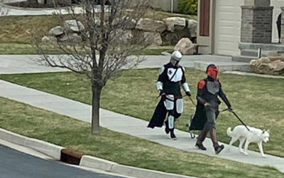 老美整天在家被逼疯！大型魔幻抗疫行动啥时才能结束！