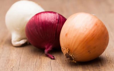 新闻 | 因感染沙门氏菌，这些牌子的洋葱全美正在紧急召回！Cape Cod海滩附近发现多条鲨鱼！