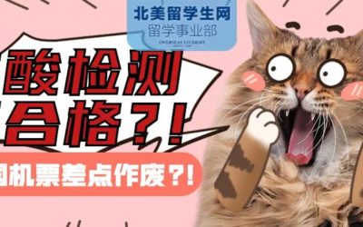 【坑王回家记】历时32小时，飞跃2/3地球，阿联酋航空迪拜飞广州！