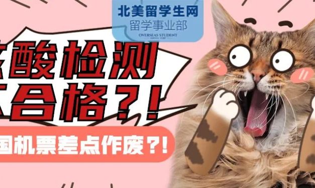 【坑王回家记】历时32小时，飞跃2/3地球，阿联酋航空迪拜飞广州！