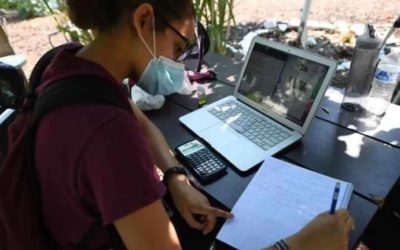 新闻 | 因线下课堂转网课，多名大学被学生请愿要求减少学费！字节跳动明日将起诉川普政府！