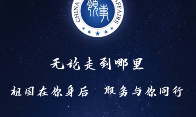 【使用指南】中国领事APP本月正式上线，这两个地区的同胞可以线上“云办理”啦！