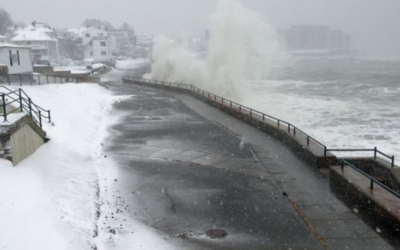 沿海风暴来袭！波士顿本周末预计有强降雪！记得提前备好年货哦！