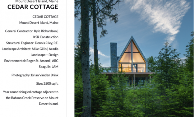 兑现十年前的承诺，麻州夫妻共同打造梦想树屋！这样的“理想退休生活”搁谁不羡慕！