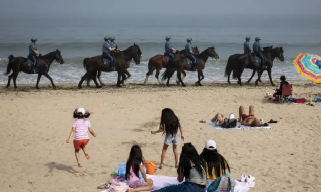 麻省周末夏意炎炎，去海滩晒个太阳警察不得不马不停蹄地抓人！