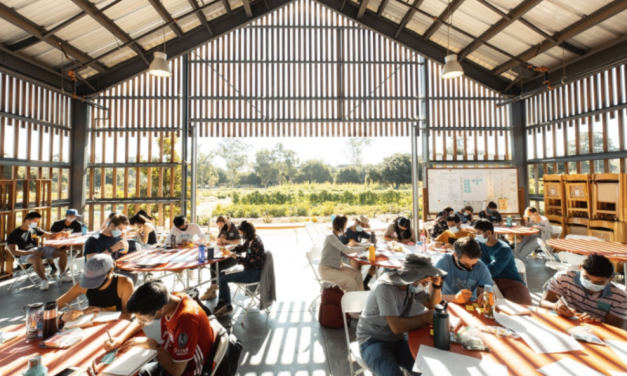 斯坦福大学75年来首次成立新学院，未来人才新方向？