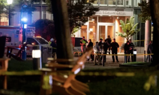 盘点波士顿本月大事件，这个九月，波屯怕是有点水逆