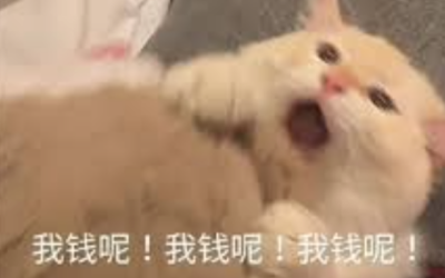 注意！你的账户可能被Chase清空：大量用户被双倍扣款，你有没有中招！