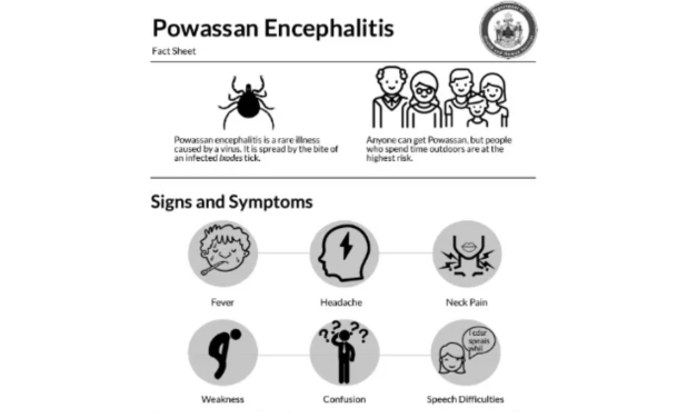 注意！马萨诸塞州报告蜱传病毒确诊病例！卫生部门紧急通知“该病毒可以侵入中枢神经系统”