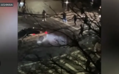 大型飙车现场？！波士顿凌晨街头41辆车逆行、烧胎！30通报警电话也无法阻止的疯狂！