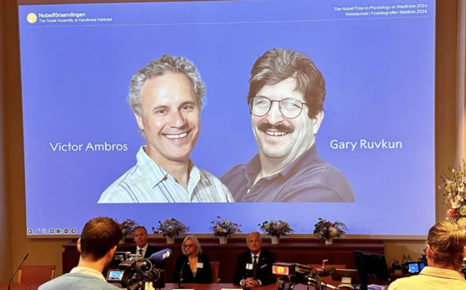 诺贝尔生理/医学奖揭晓！马萨诸塞州两位教授荣获此奖，研究或将为癌症治疗带来新路径！
