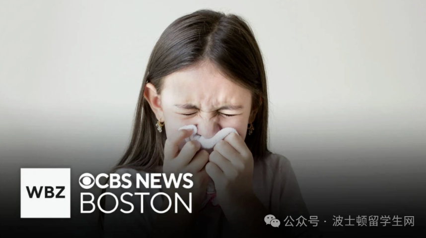 114% 病例增长、44% 急诊上升，波士顿流感正在加速！