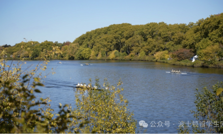 查尔斯河变下水道！波士顿水务局为数千万加仑污水开绿灯！