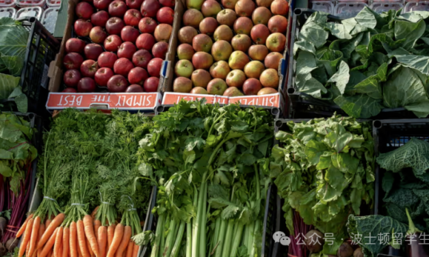 美版“供销社”要来了？波士顿市议员提议建立“公有超市”！让健康食品更平价、更可及