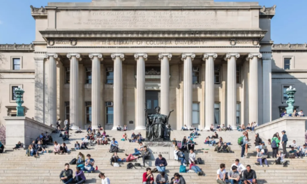 “董小姐是野鸡大学毕业的？”我们来认真专业地扒一扒！