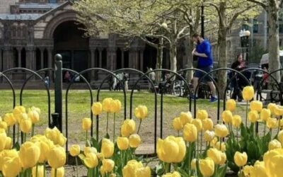 全美本周末集体少睡一小时！夏令时3月8日回归，日落将晚到7点多