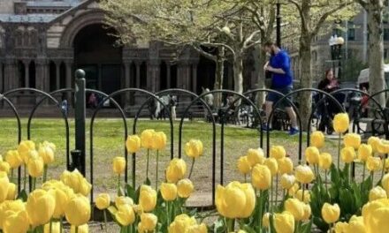 全美本周末集体少睡一小时！夏令时3月8日回归，日落将晚到7点多