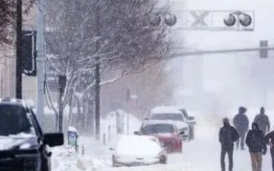 波士顿周五雨雪来袭！晚高峰或受影响，下周一还有风暴变数