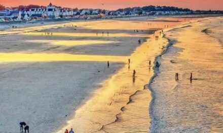 FREE火车直达沙滩！等一个自然而然的夏天，我想和你一起去看碧海蓝天！