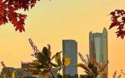 4.4｜留明x NUCSSA Network event—你在LinkedIn上加不到的大佬在这里？