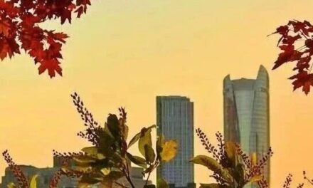 4.4｜留明x NUCSSA Network event—你在LinkedIn上加不到的大佬在这里？