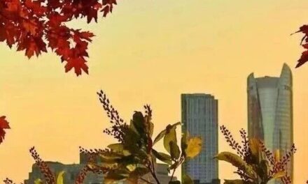 4.4｜留明x NUCSSA Network event—你在LinkedIn上加不到的大佬在这里？