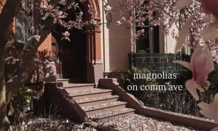 在波士顿等一场花开｜四月限定散步清单