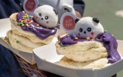Final 后的波士顿好玩到有点陌生了!Panda Fest、风筝节、古董集市全来了