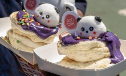 Final 后的波士顿好玩到有点陌生了！Panda Fest、风筝节、古董集市全来了